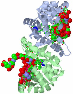 Image Asym./Biol. Unit - sites