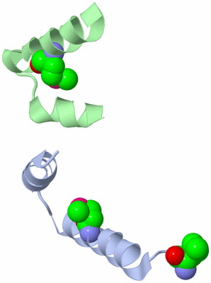 Image Asymmetric Unit