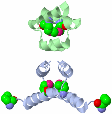 Image Biological Unit 3