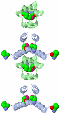 Image Biological Unit 4