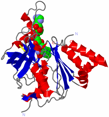 Image Asym./Biol. Unit