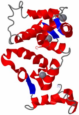 Image NMR Structure - model 1