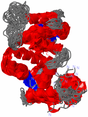 Image NMR Structure - all models