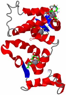 Image NMR Structure - model 1, sites