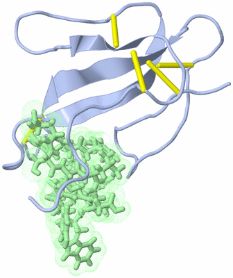 Image NMR Structure - model 1