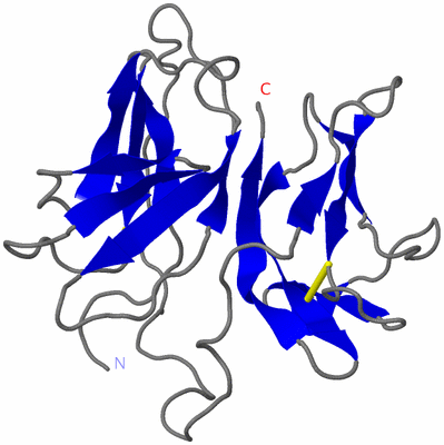 Image NMR Structure - model 1