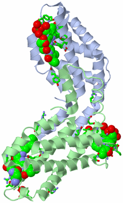 Image Asym. Unit - sites