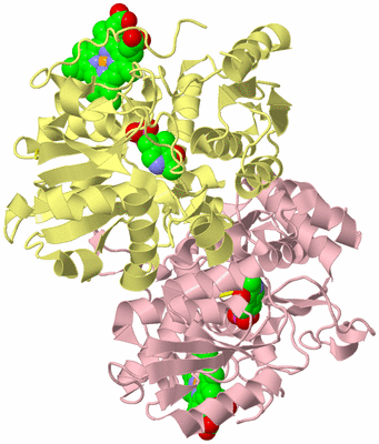 Image Biological Unit 2