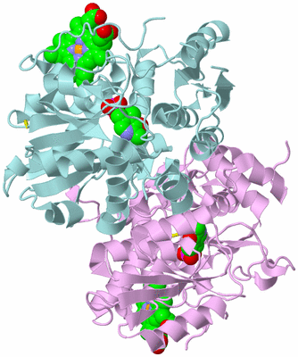 Image Biological Unit 3