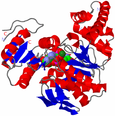 Image Asym./Biol. Unit