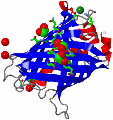 Image Asym./Biol. Unit - sites