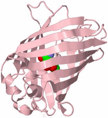 Image Biological Unit 3