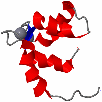 Image NMR Structure - model 1