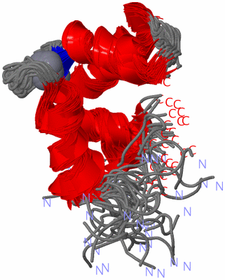 Image NMR Structure - all models