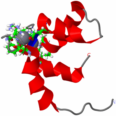 Image NMR Structure - model 1, sites