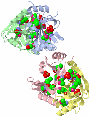Image Asymmetric Unit