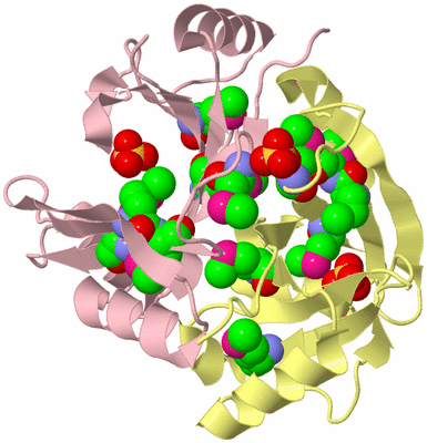 Image Biological Unit 2