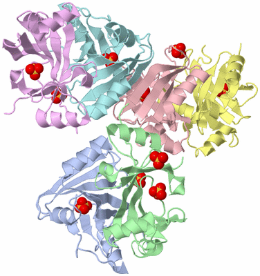 Image Asymmetric Unit