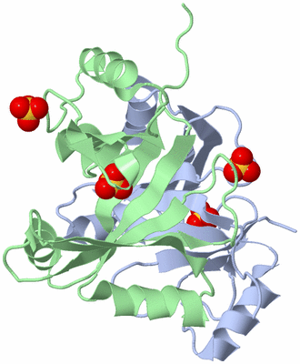 Image Biological Unit 1