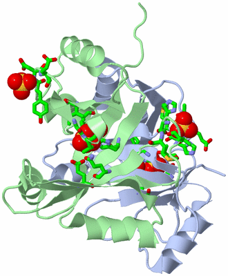 Image Biol. Unit 1 - sites