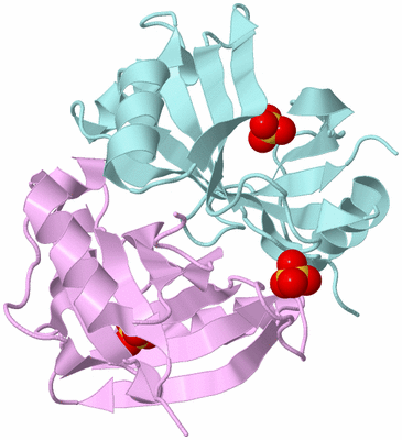 Image Biological Unit 3