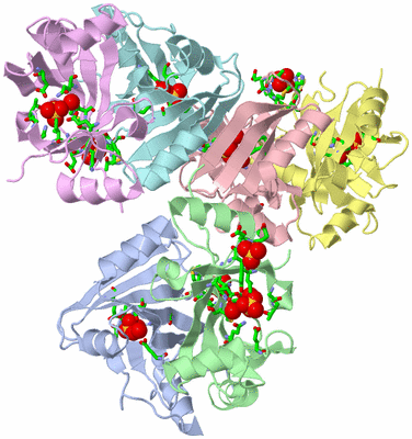 Image Asym. Unit - sites