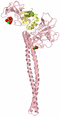 Image Biological Unit 3