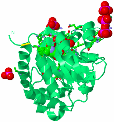 Image Biol. Unit 1 - sites