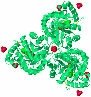 Image Biological Unit 2