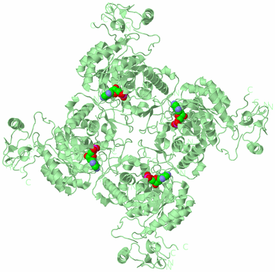 Image Biological Unit 2