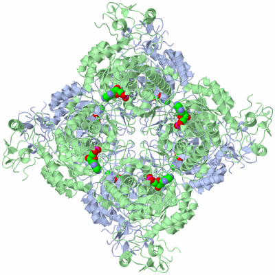 Image Biological Unit 3