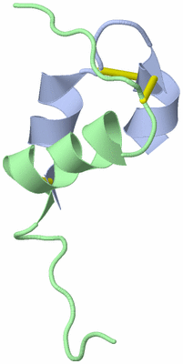 Image NMR Structure - model 1