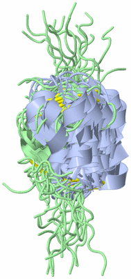 Image NMR Structure - all models