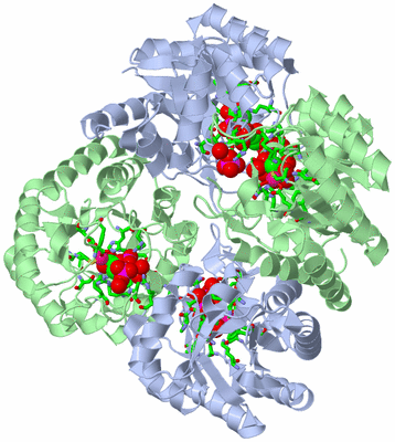 Image Biol. Unit 1 - sites