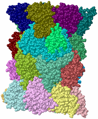 Image Asym./Biol. Unit