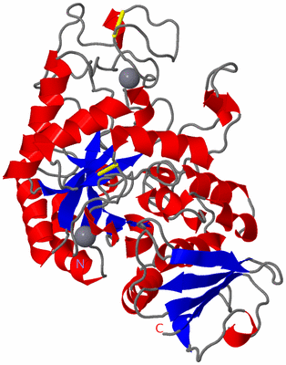 Image Asym./Biol. Unit