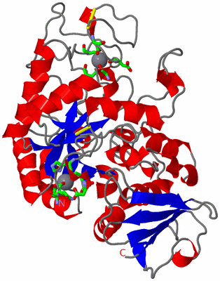 Image Asym./Biol. Unit - sites