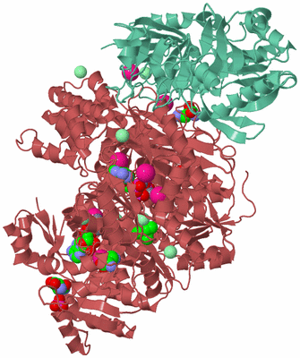 Image Biological Unit 4