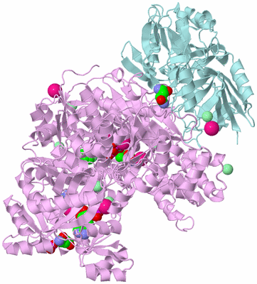 Image Biological Unit 5