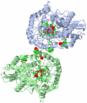 Image Biol. Unit 1 - sites