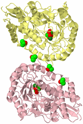 Image Biological Unit 2