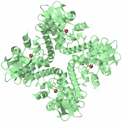 Image Biological Unit 2