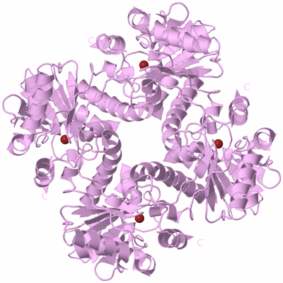 Image Biological Unit 5