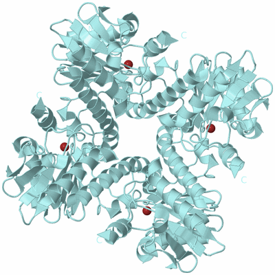 Image Biological Unit 6