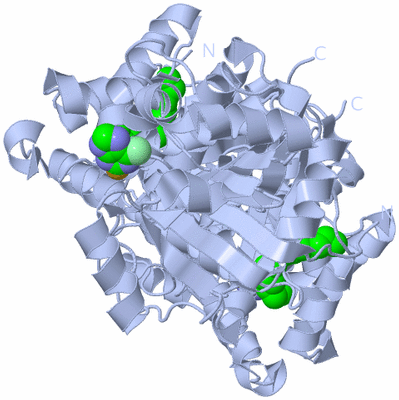 Image Biological Unit 1