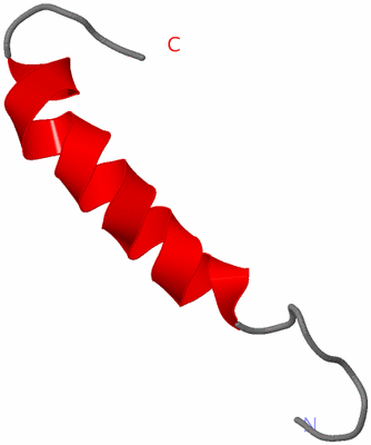 Image NMR Structure - model 1