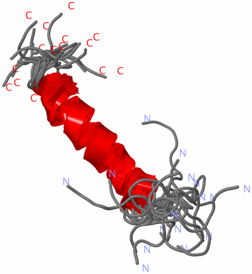 Image NMR Structure - all models