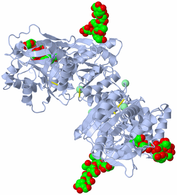 Image Biological Unit 1