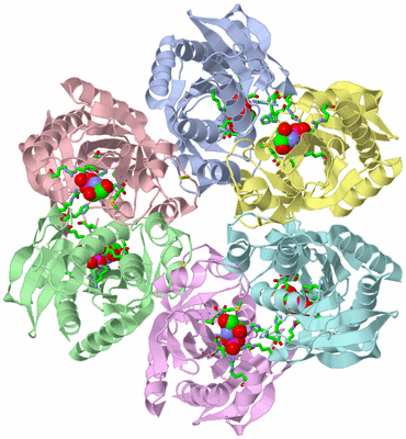 Image Asym./Biol. Unit - sites