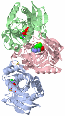 Image Asymmetric Unit